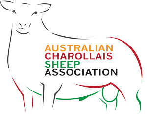 Australian Charollais Sheep Association